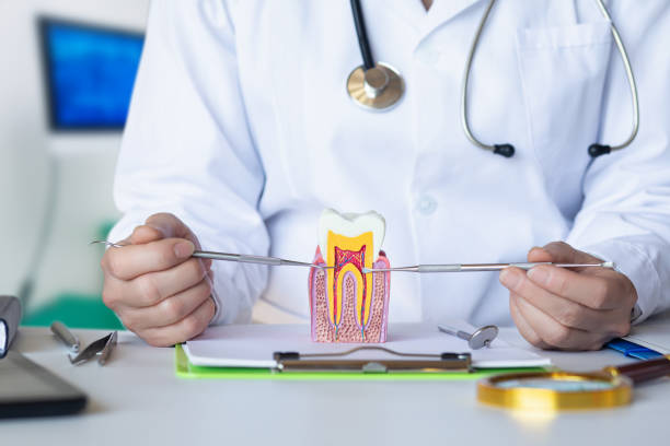 Best Emergency Root Canal Therapy in Leesburg, OH